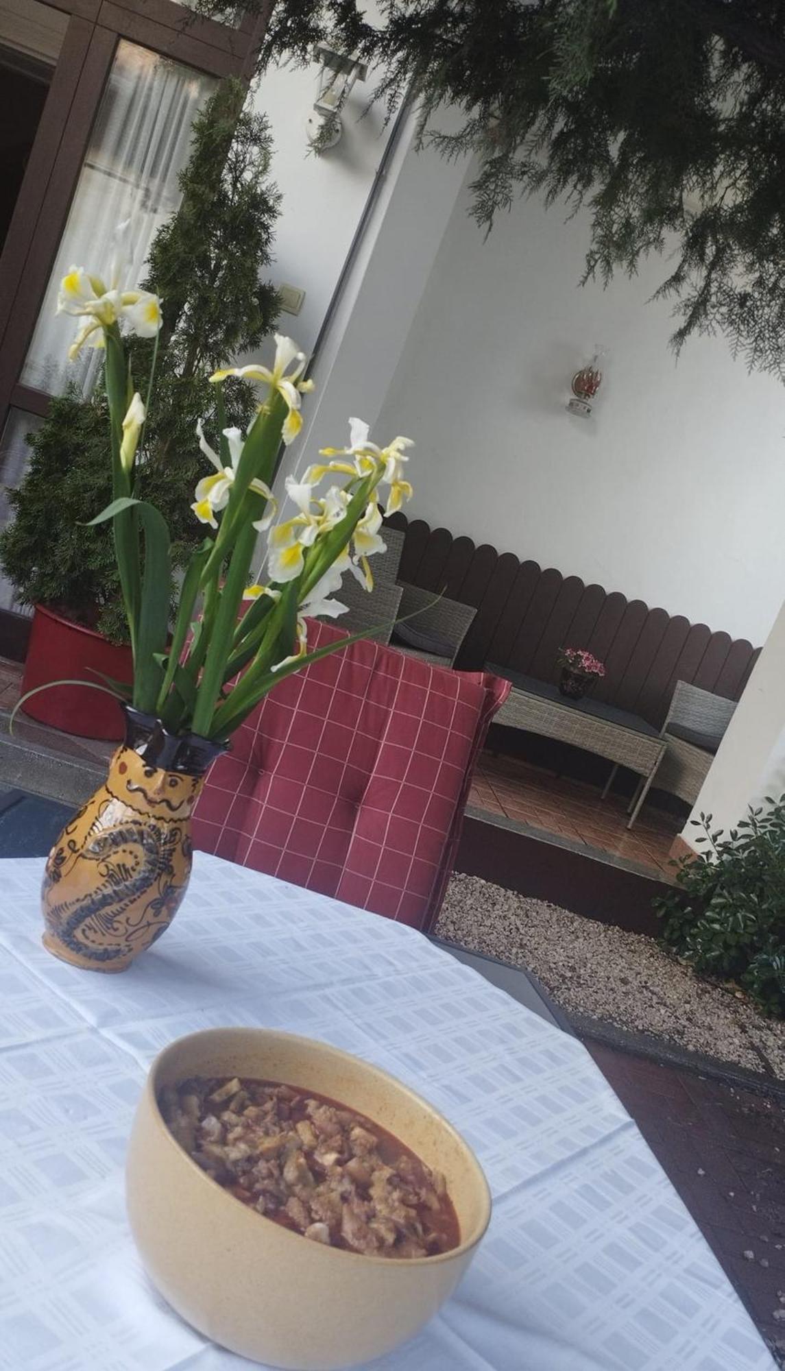 Erzsebet Vendeghaz Es Apartman Hajdúszoboszló 외부 사진